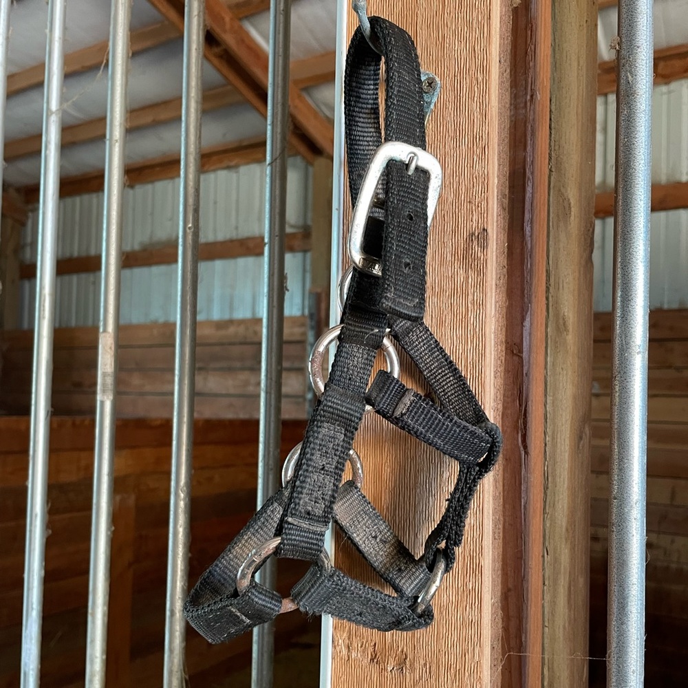 Valhoma Nylon Halter